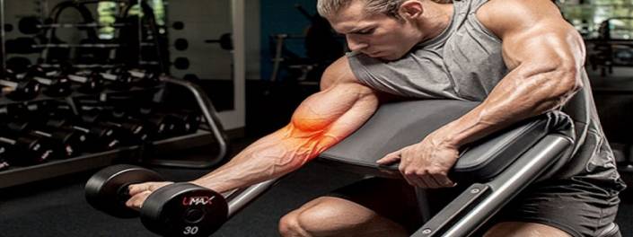 biceps_distal