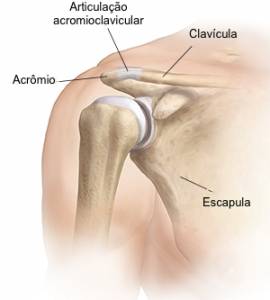 Articulação acromioclavicular