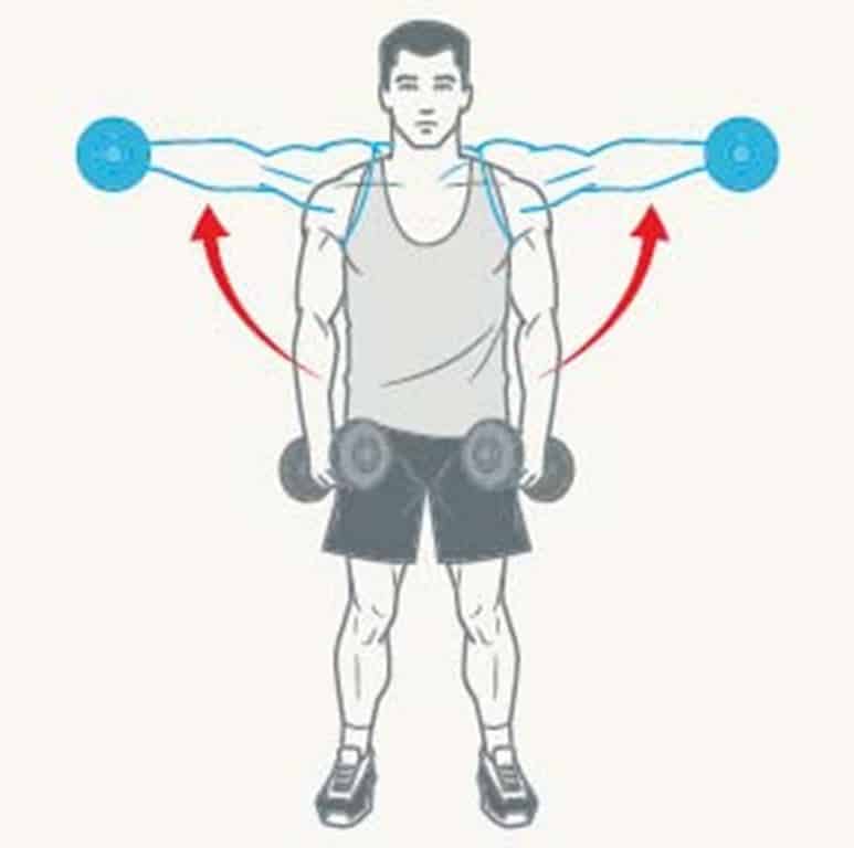 16 Exercicios Para Fortalecer Ombros E Evitar Lesoes Darwin6