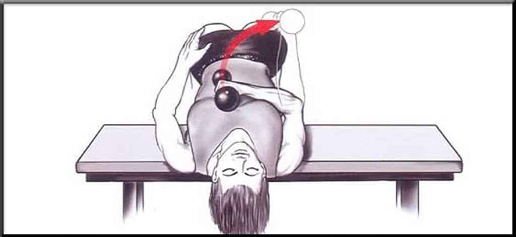 Pode ser realizado em casa, com halter improvisado de garrafa com areia!!